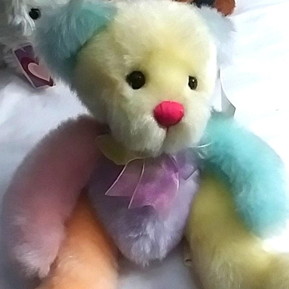 Tie dye teddy